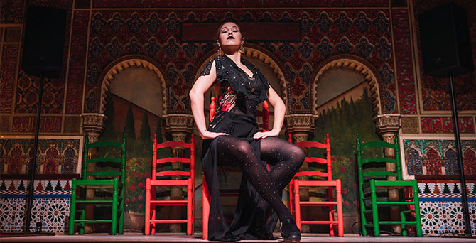 Espectáculo Flamenco