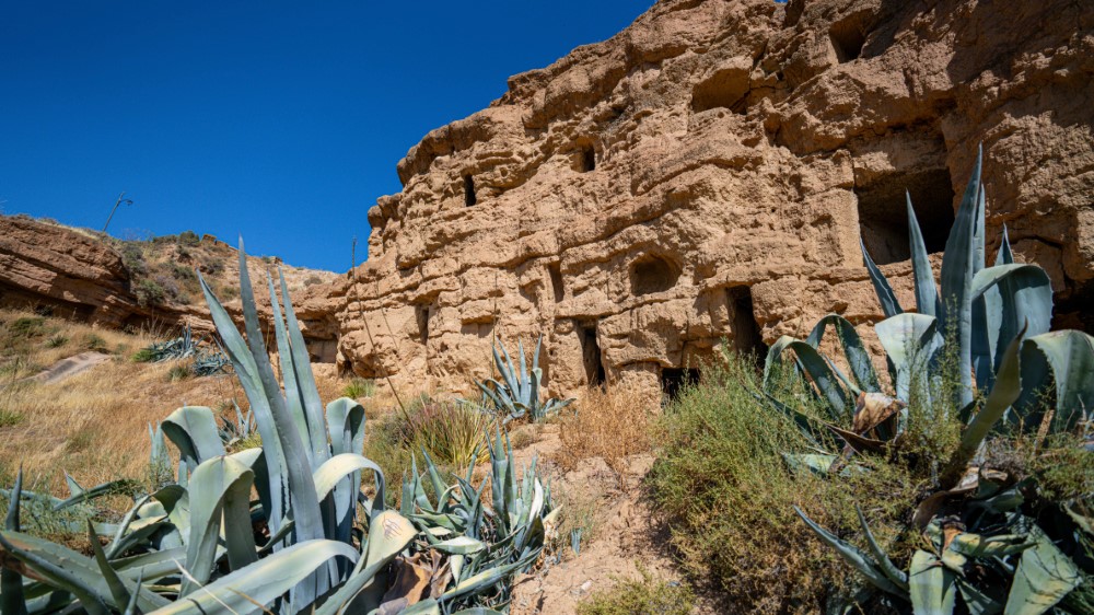 1-1295 (Personalizado)