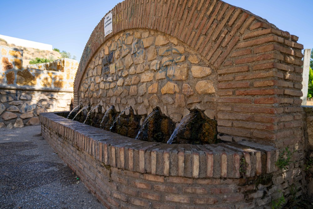 1-1298 (Personalizado)