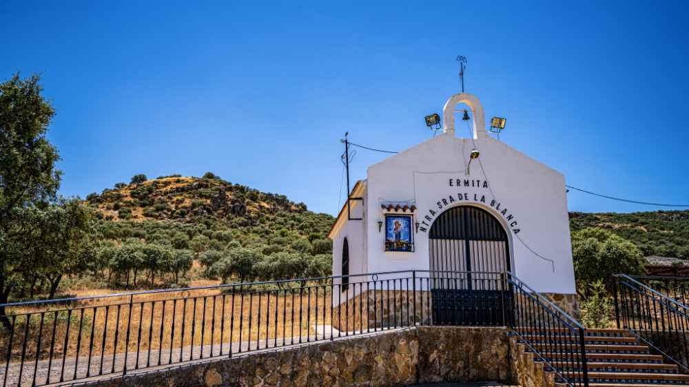 1-138 (Personalizado)