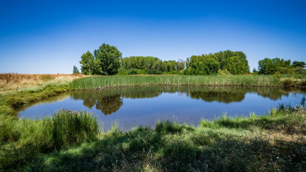 1-144 (Personalizado)