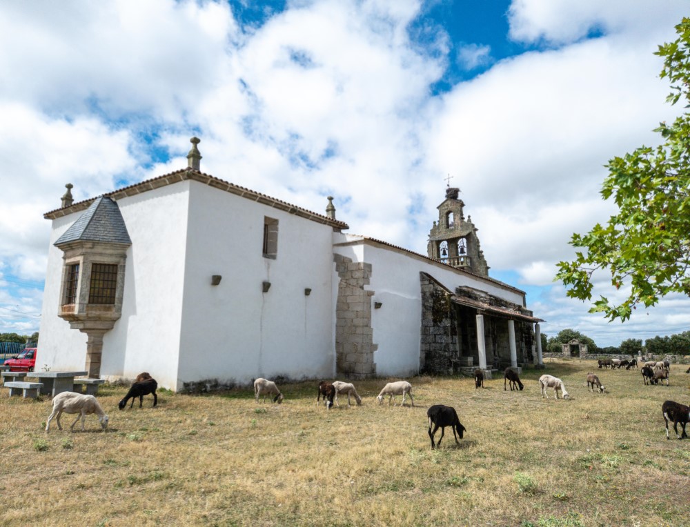 1-155 (Personalizado)