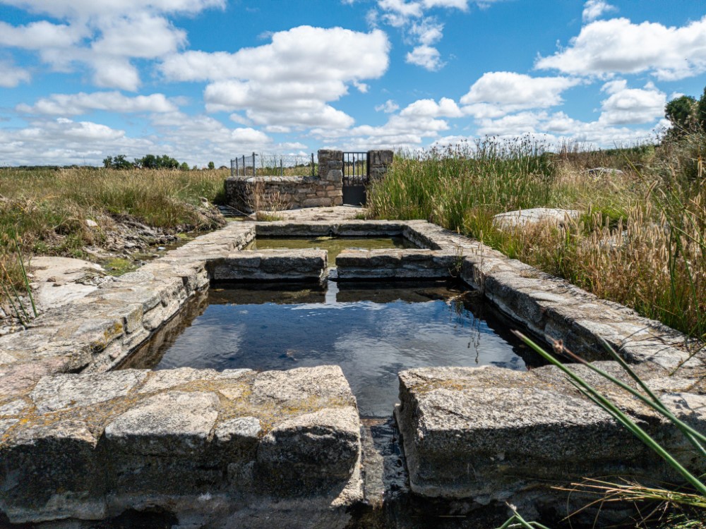 1-156 (Personalizado)