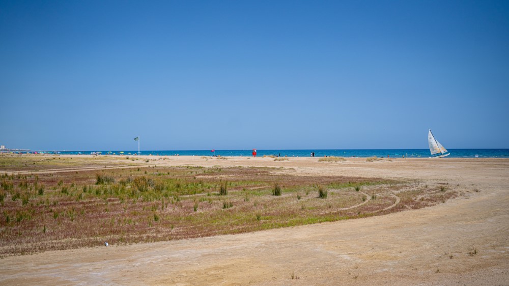 1-272 (Personalizado)