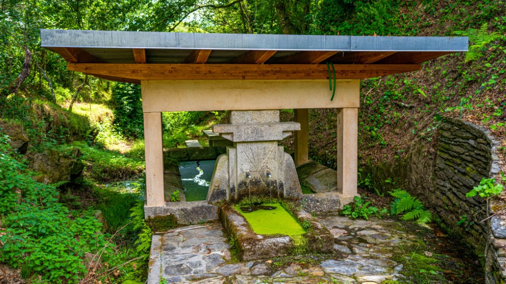 1-511 (Personalizado)