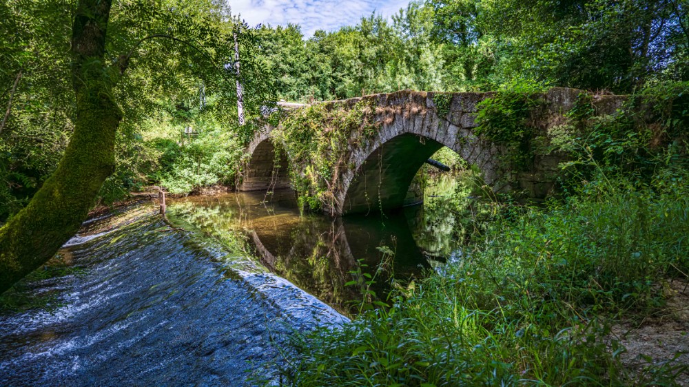 1-518 (Personalizado)