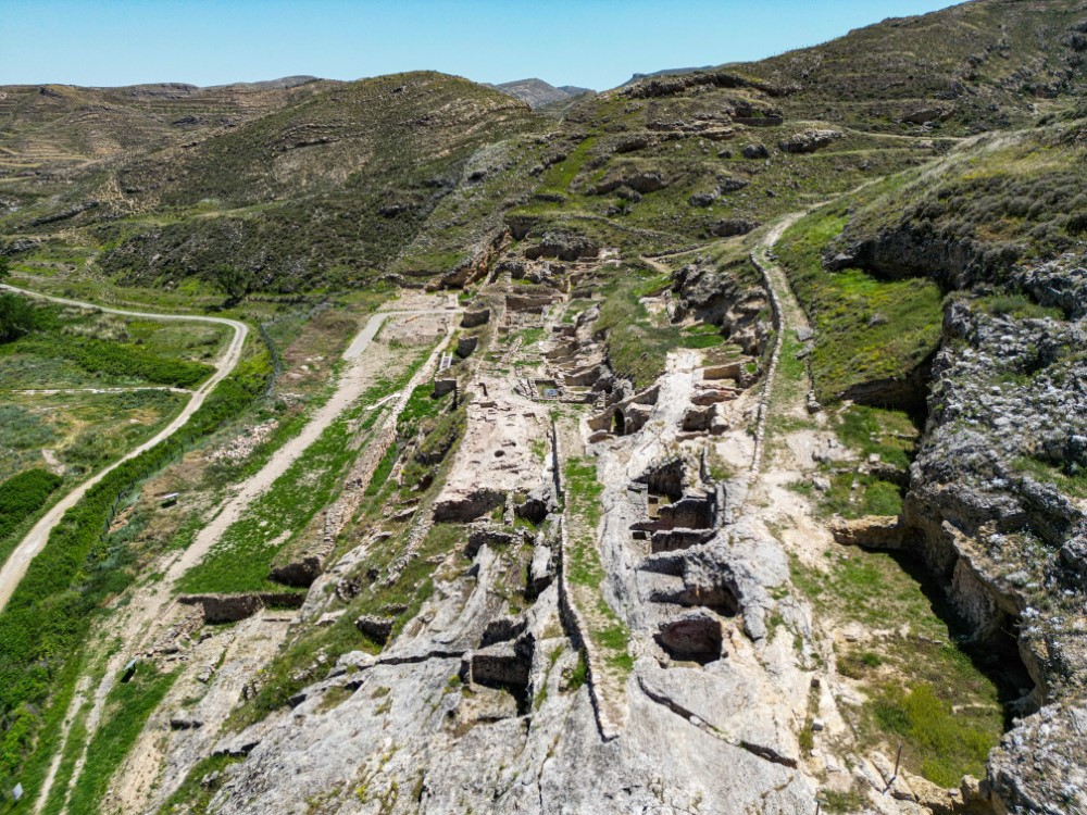 1-547 (Personalizado)