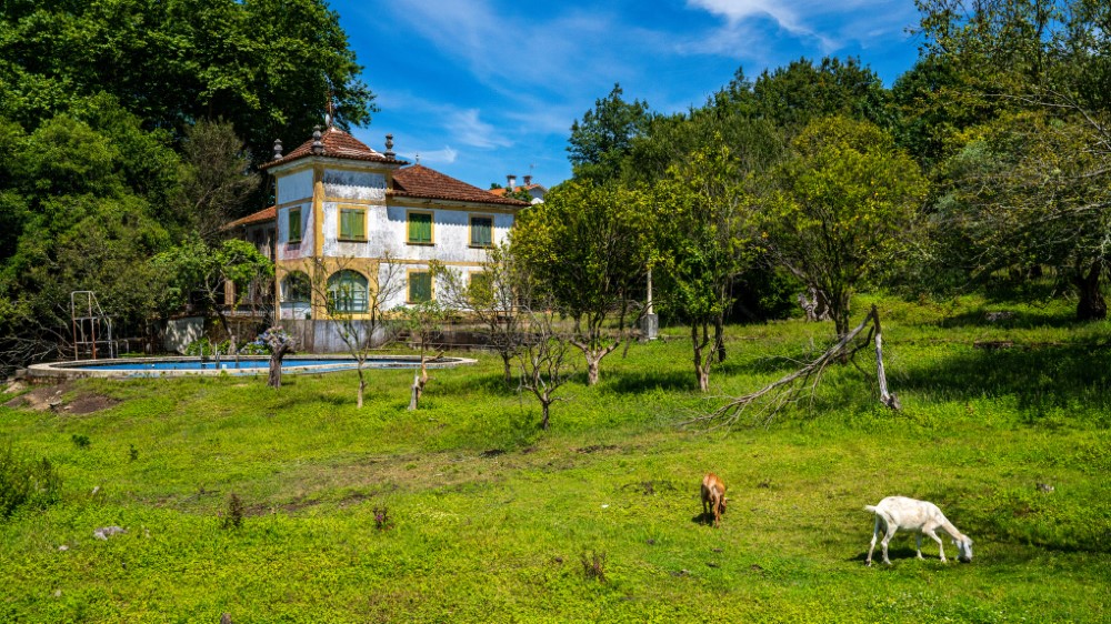 1-821 (Personalizado)