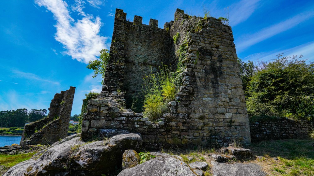 1-829 (Personalizado)