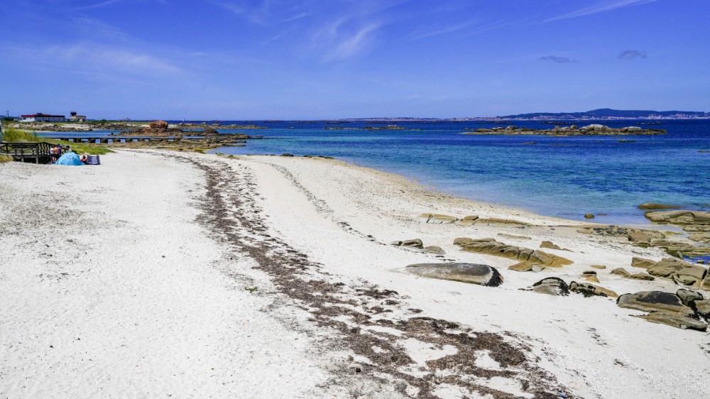 1-889 (Personalizado)